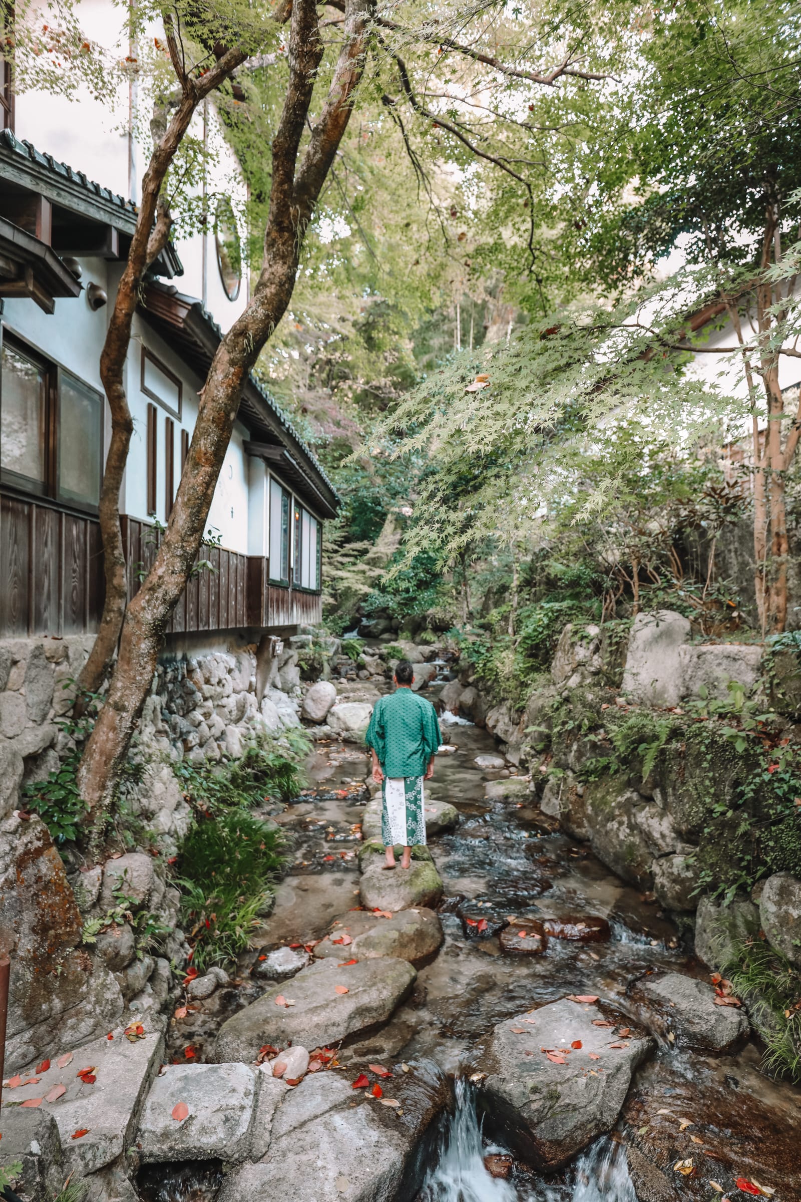 day japanese countryside