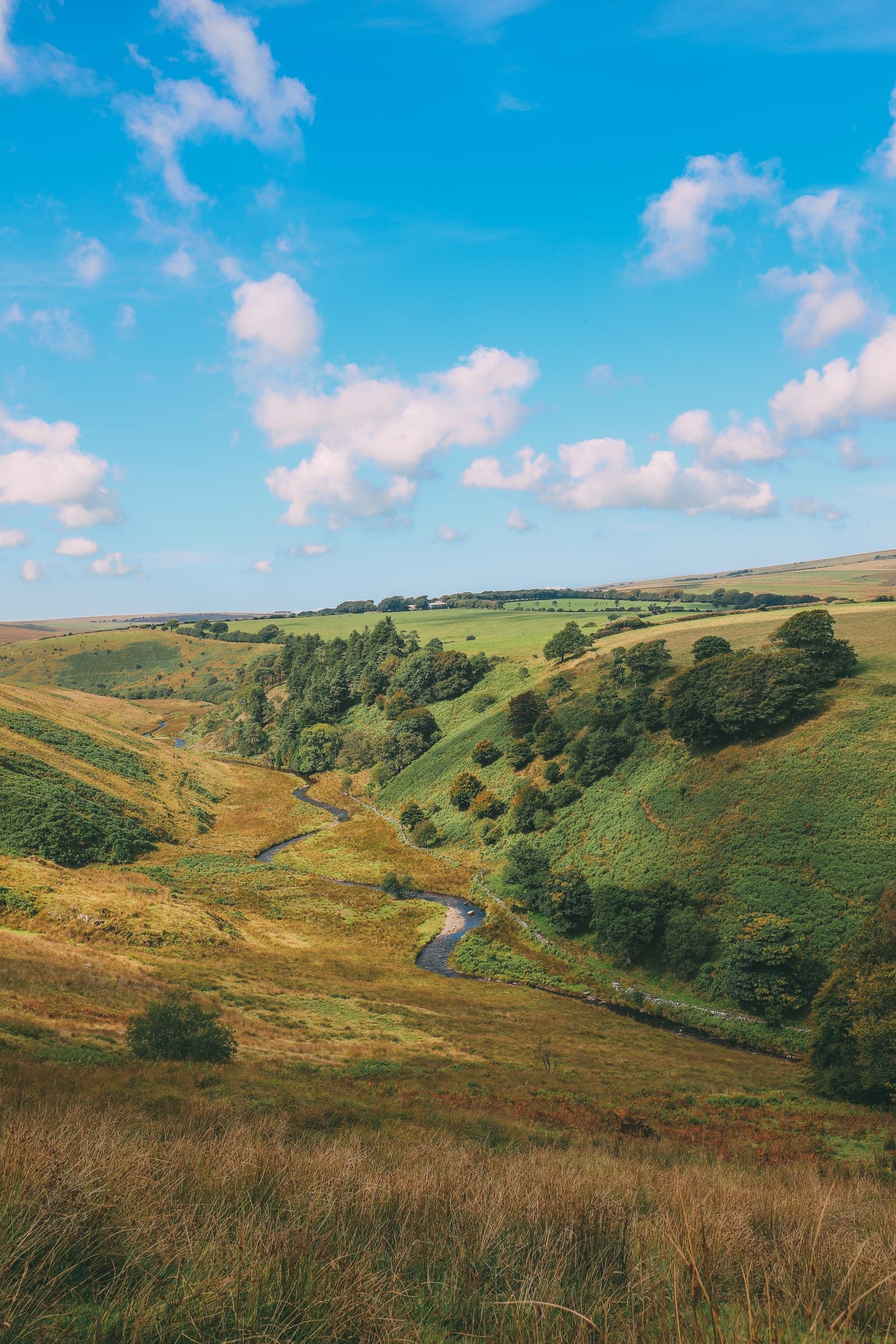 searching wildlife exmoor