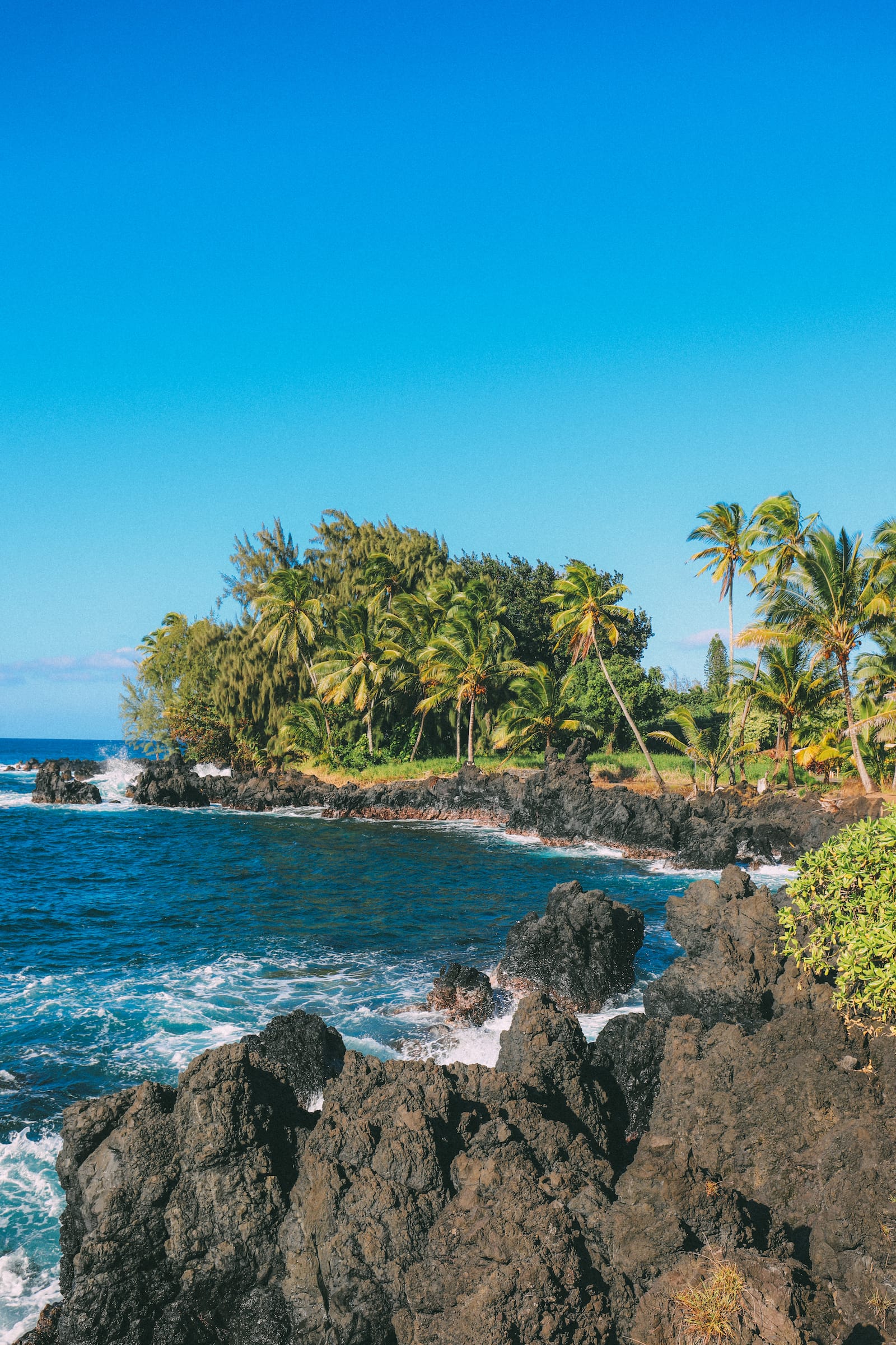 photos postcards hawaii