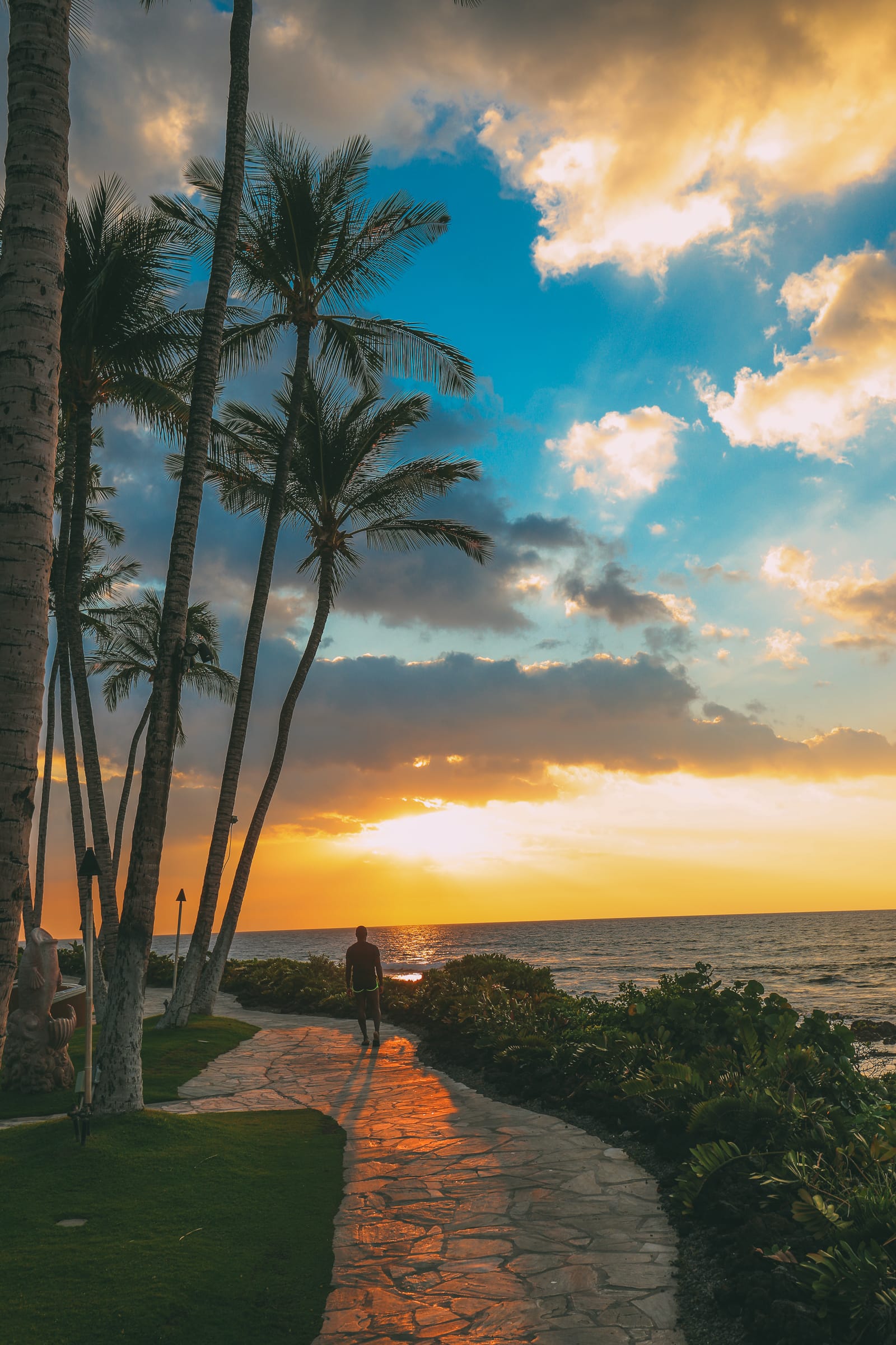 amazing view maui