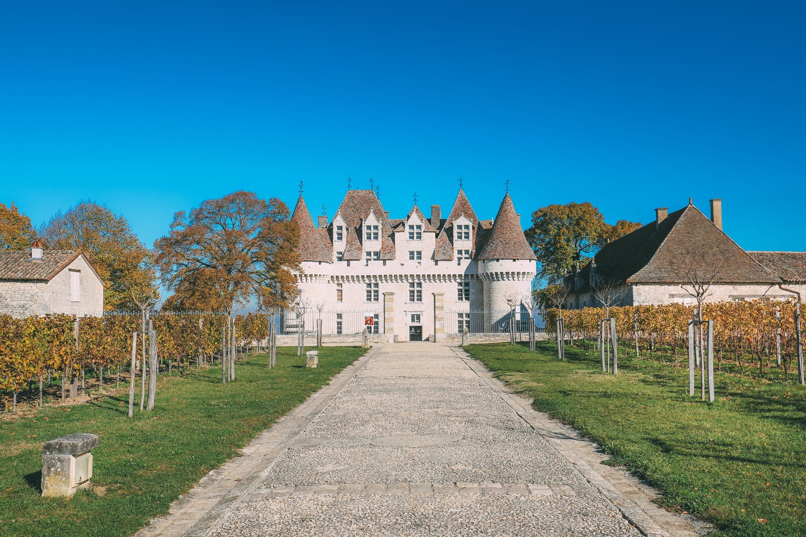 wine tasting bergerac