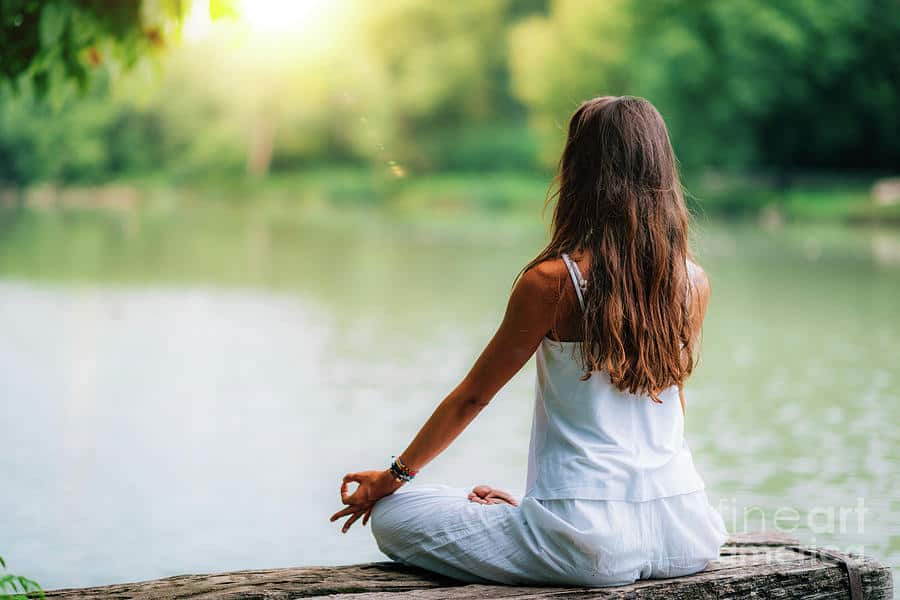 healing fibro warrior