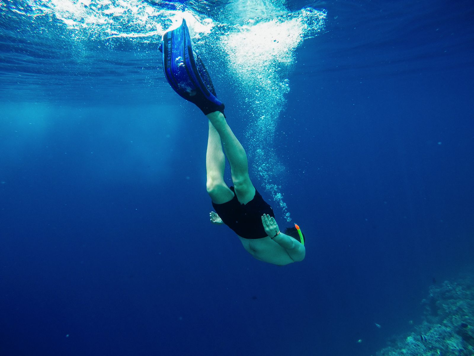 snorkelling angsana velavaru