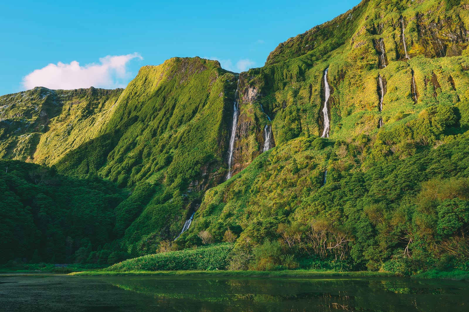 surprisingly tropical islands