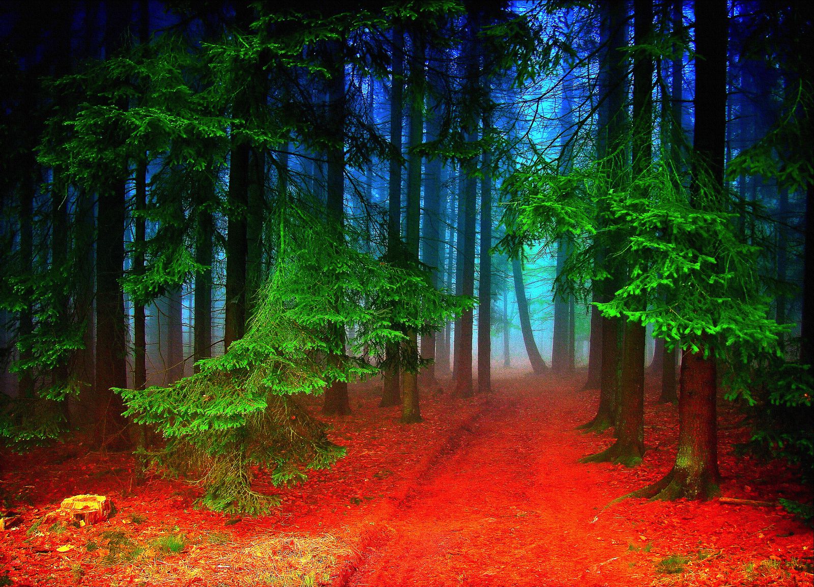 magical photos that