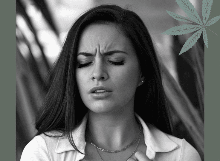 cannabis terpenes fibromyalgia