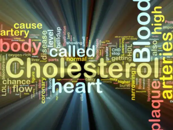 cholesterol structure something