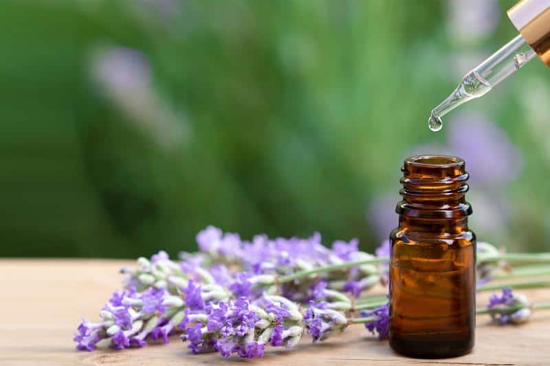 top essential oils