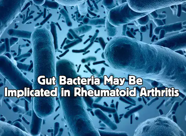 gut bacteria may