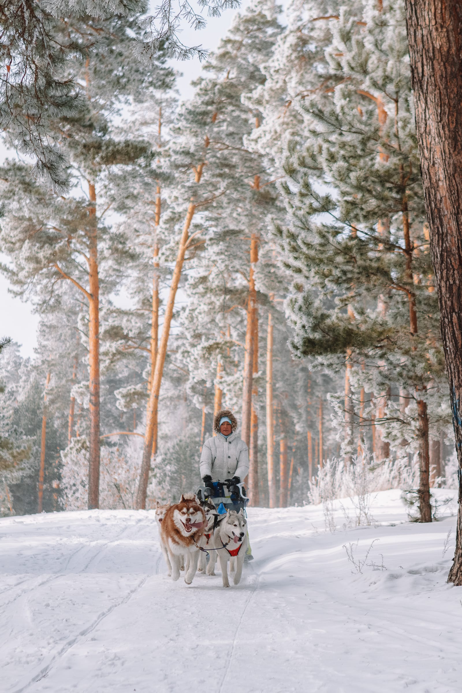 best things lapland