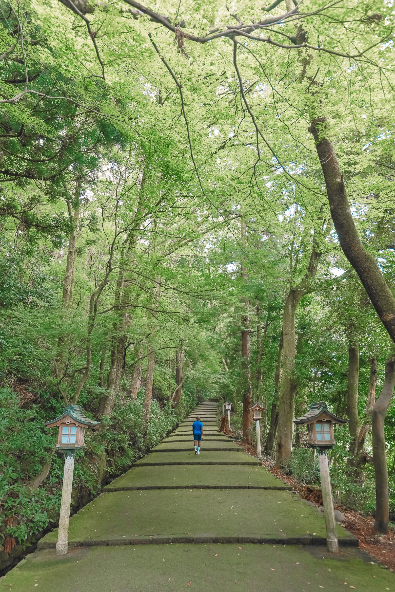 finding samurai district