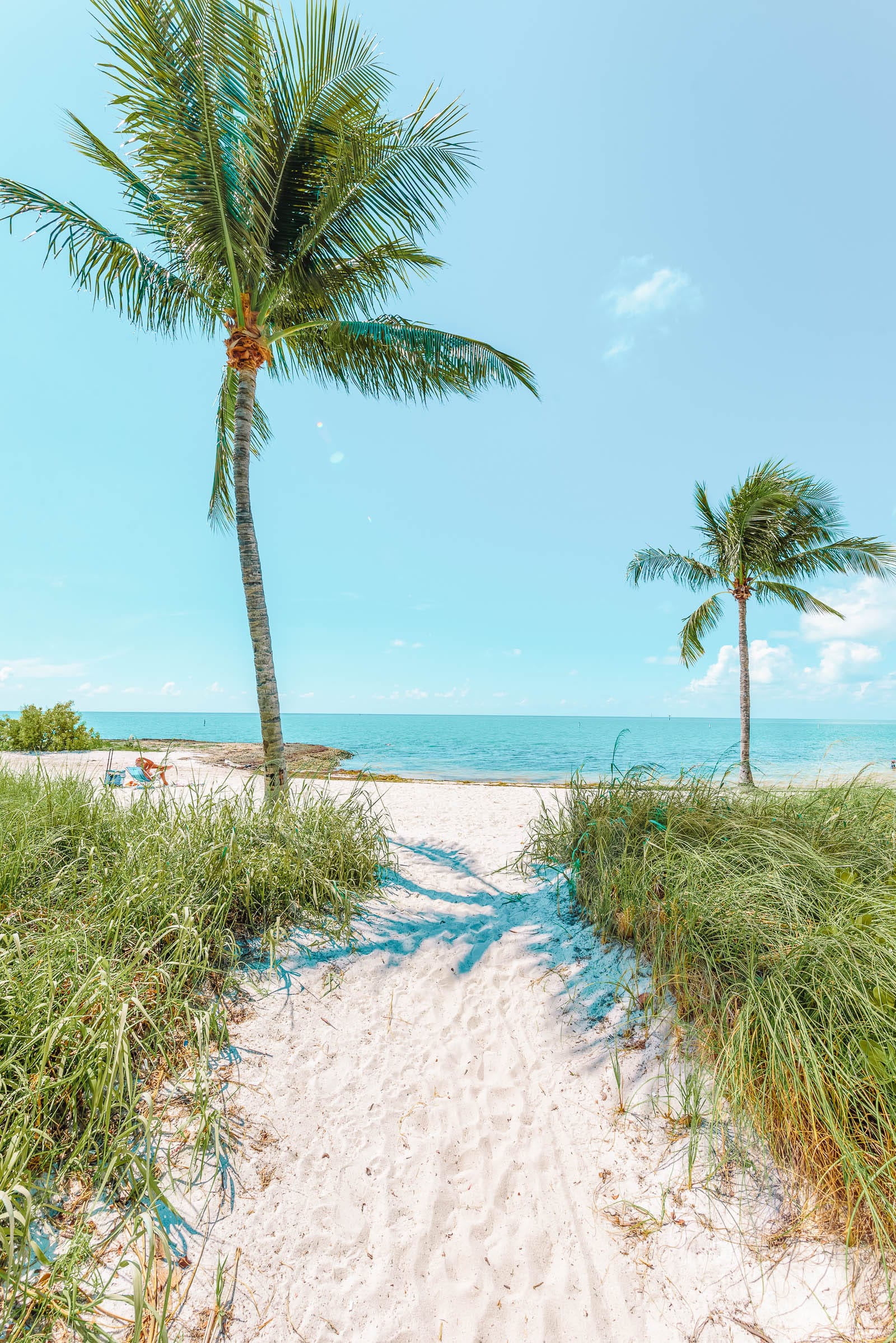 best things florida