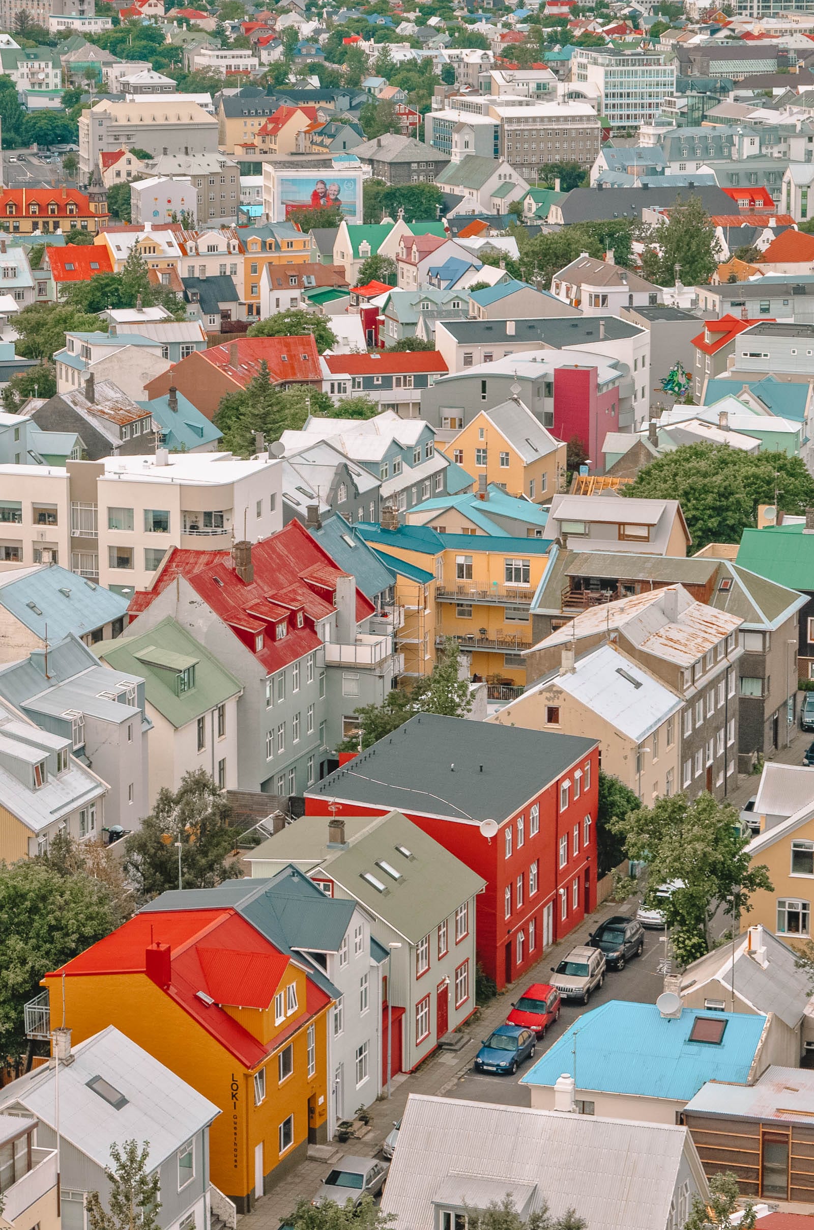 best restaurants reykjavik