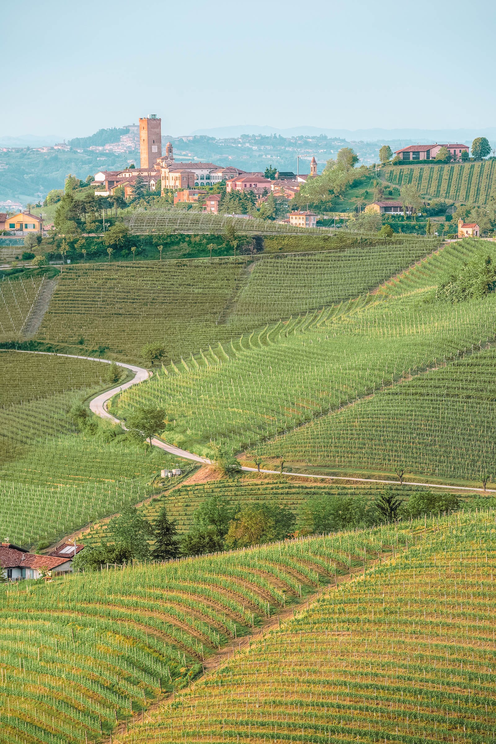 best wine regions