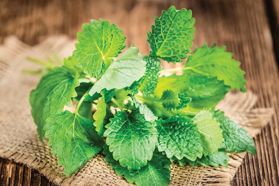 surprising health benefits