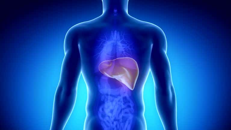 healthy liver tips