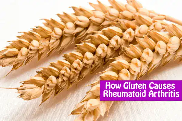 gluten causes rheumatoid