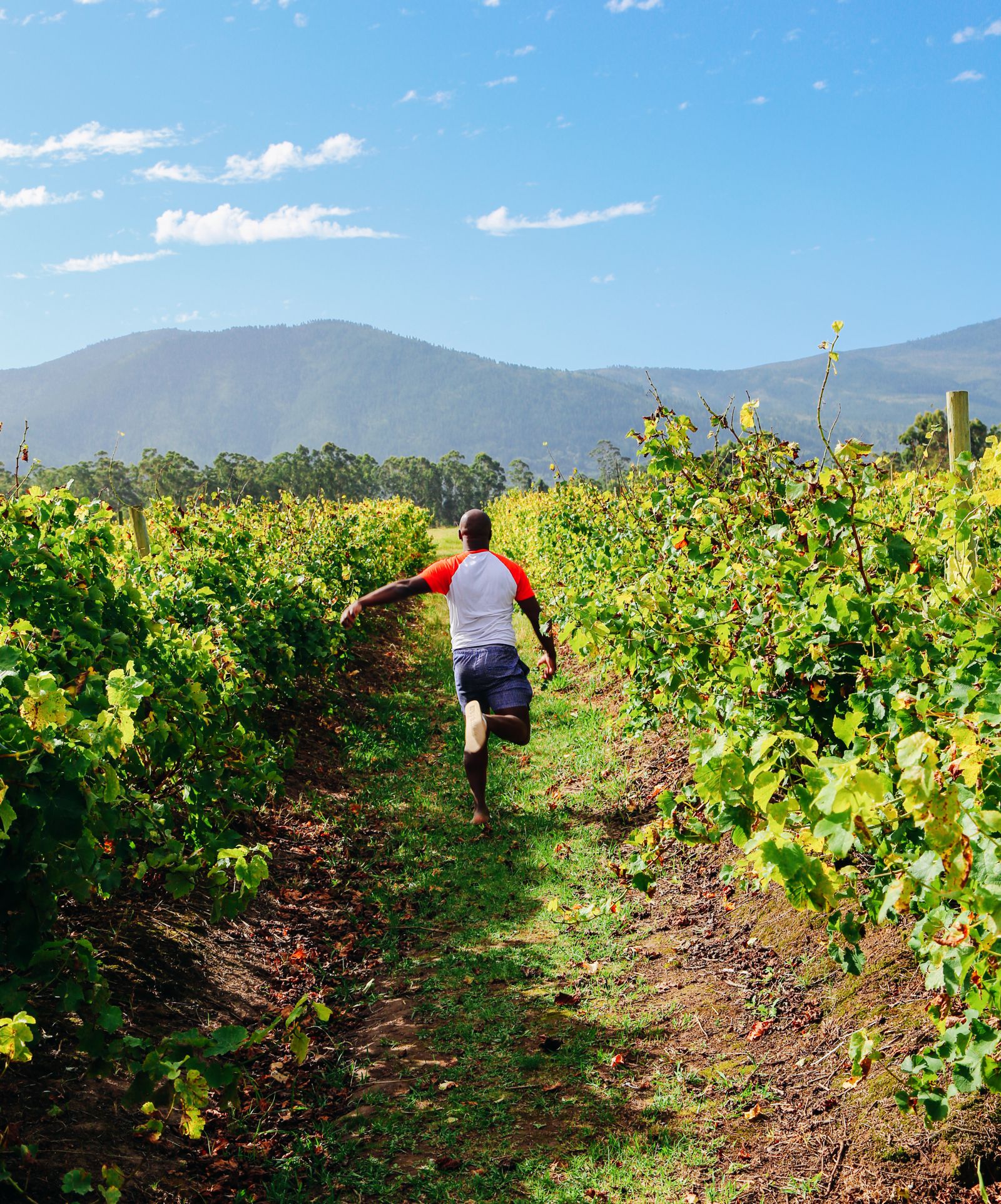 exploring plettenberg bay