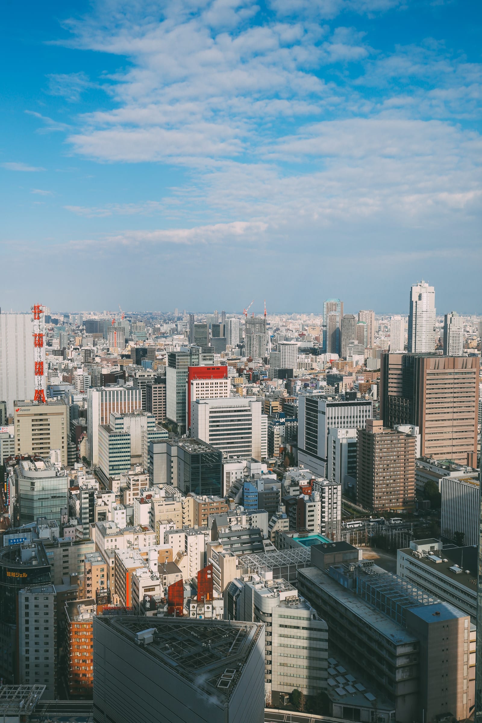 tokyo japan shibuya