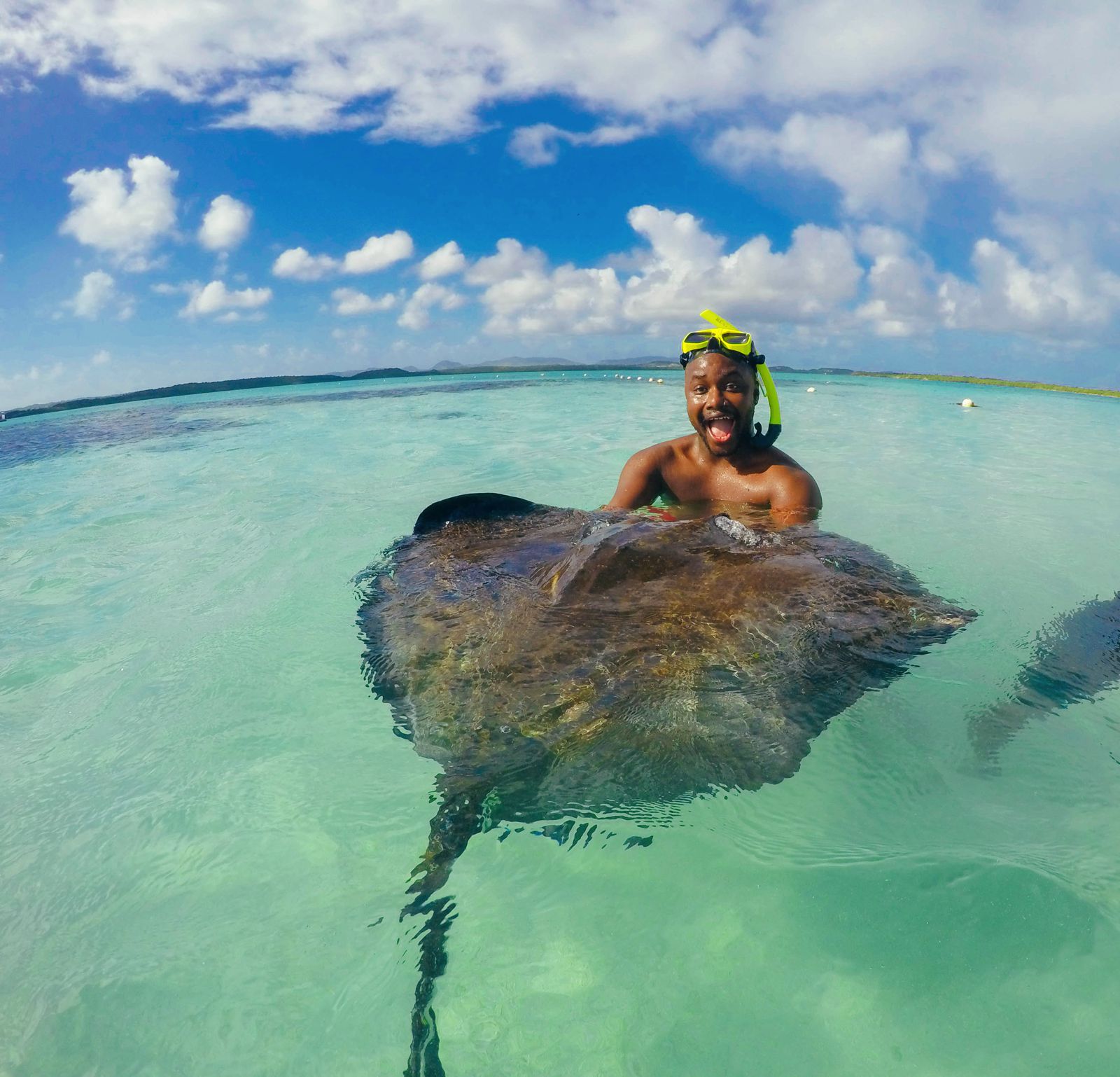 swim stingrays antigua