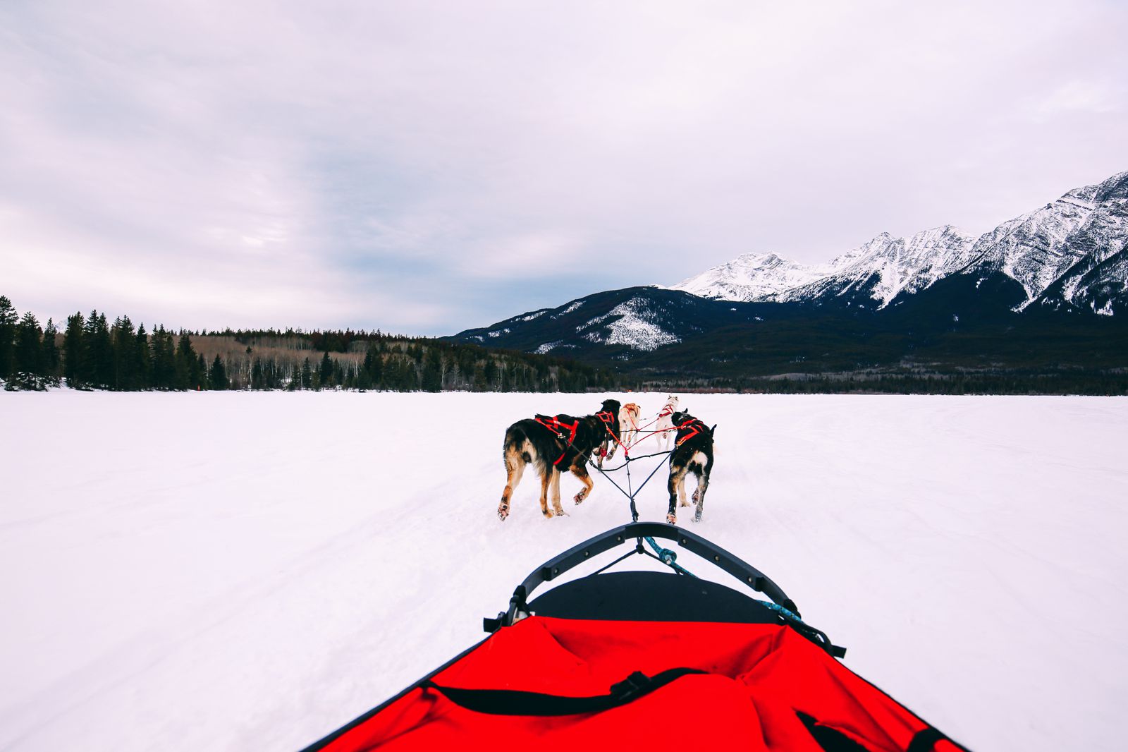 winter adventures jasper