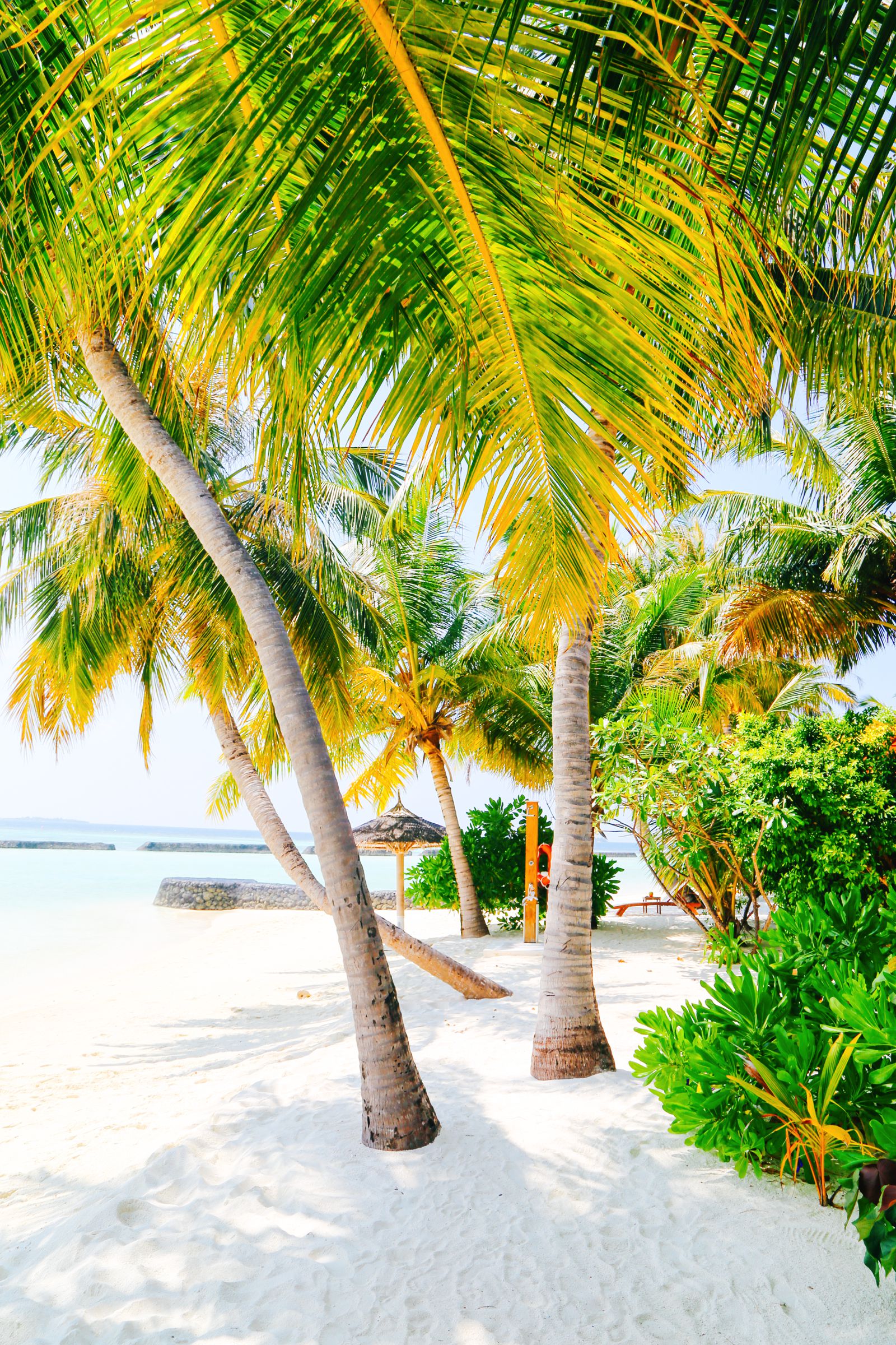 kurumba hotel maldives