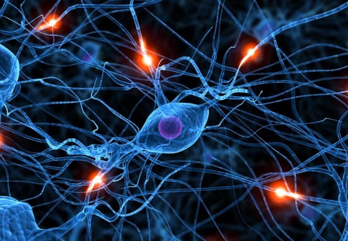 multiple sclerosis symptoms