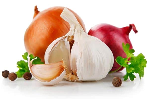 natural antibiotics hiding