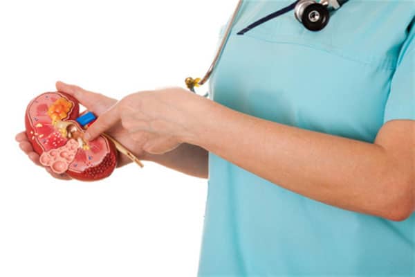 stop kidney stones