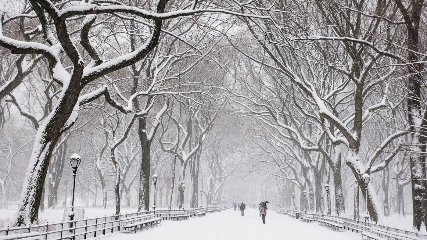 new york truly