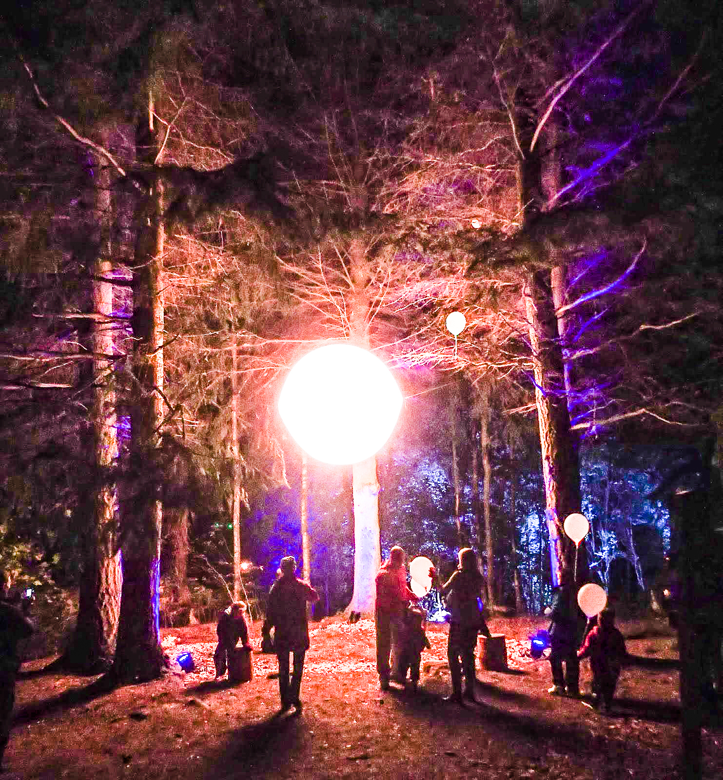 enchanted forest pitlochry