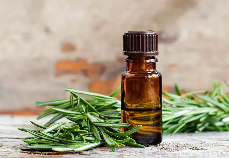 lifechanging benefits rosemary