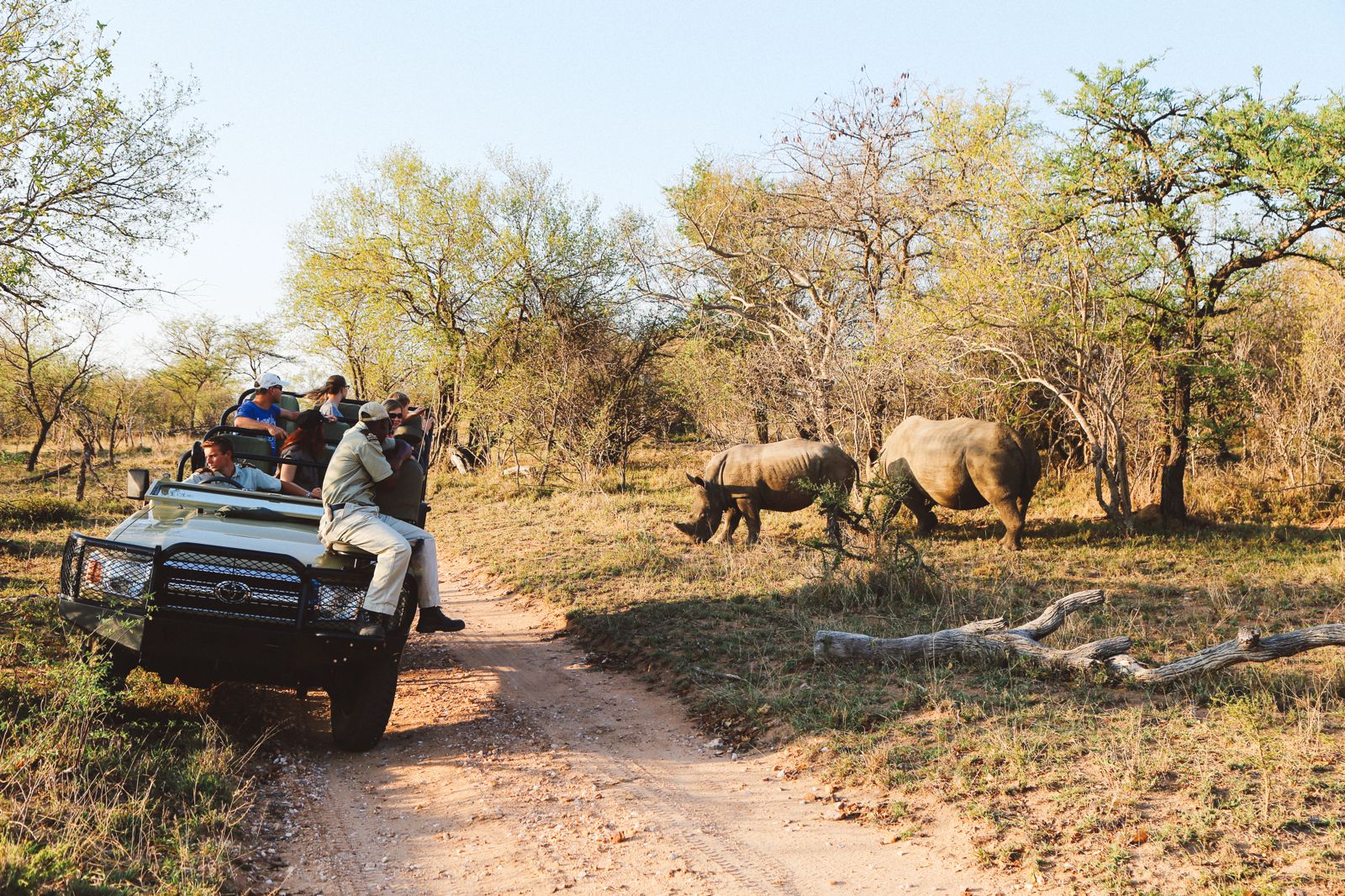 kapama southern camp