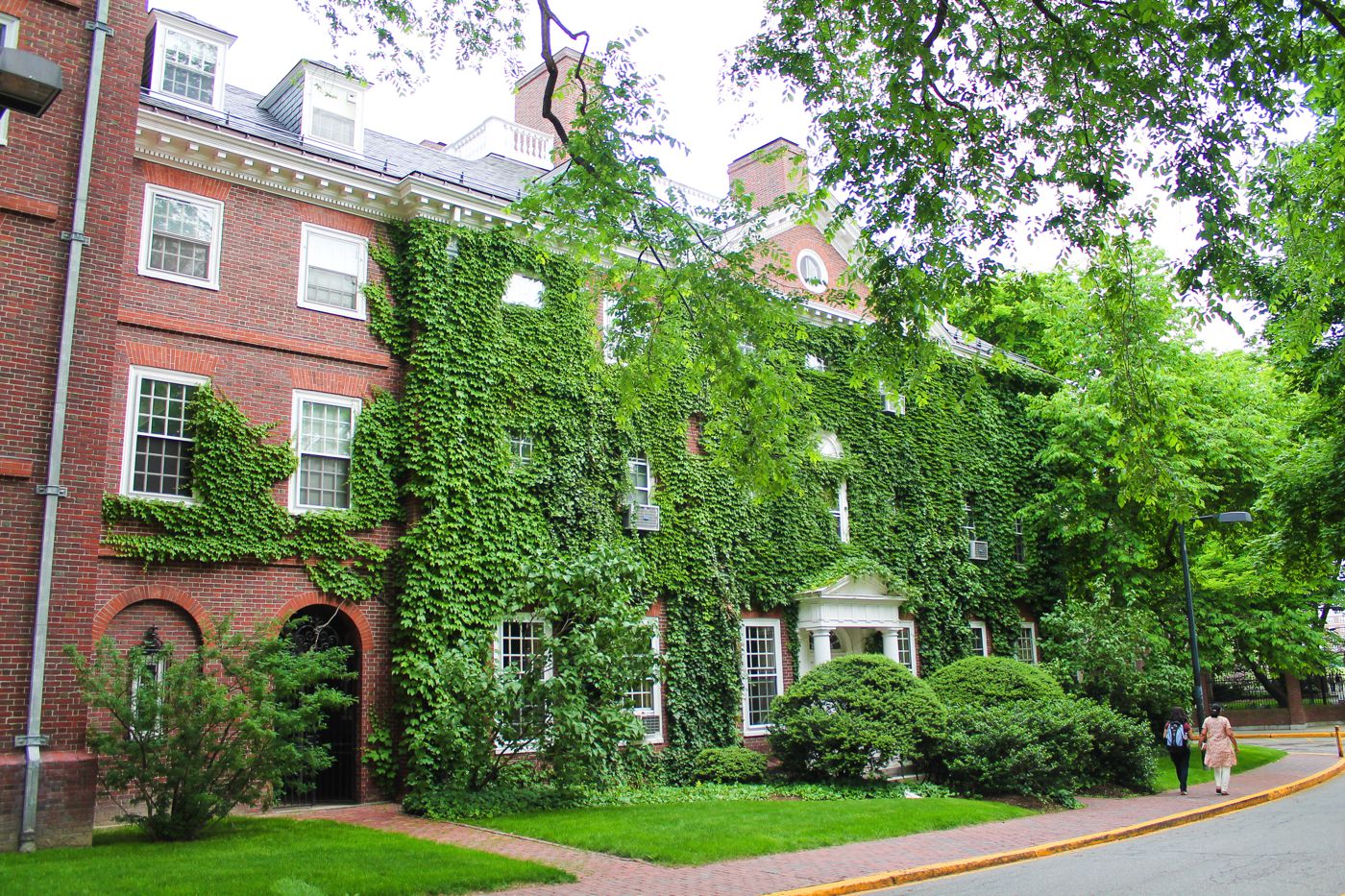 afternoon exploring harvard