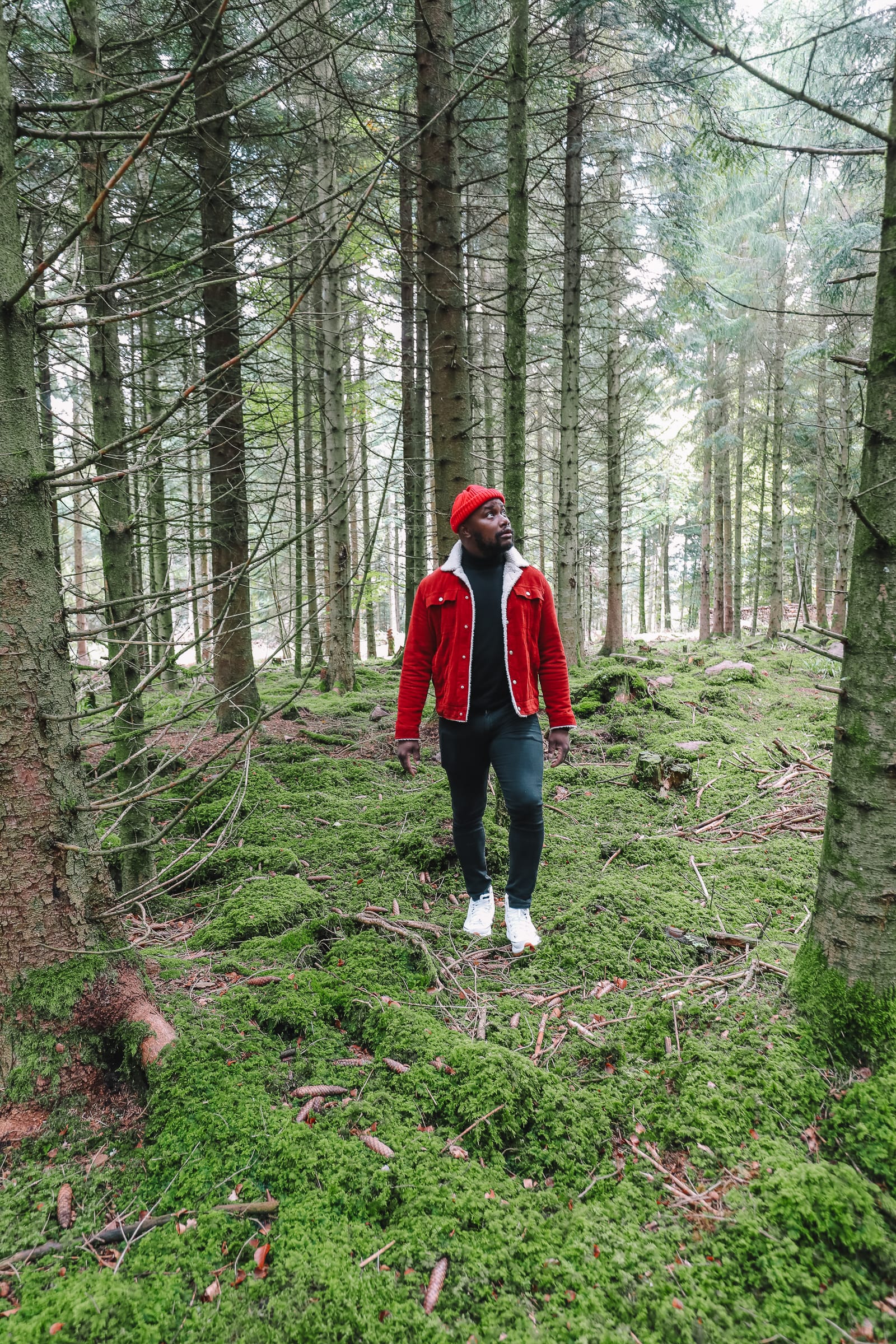 black forest germany