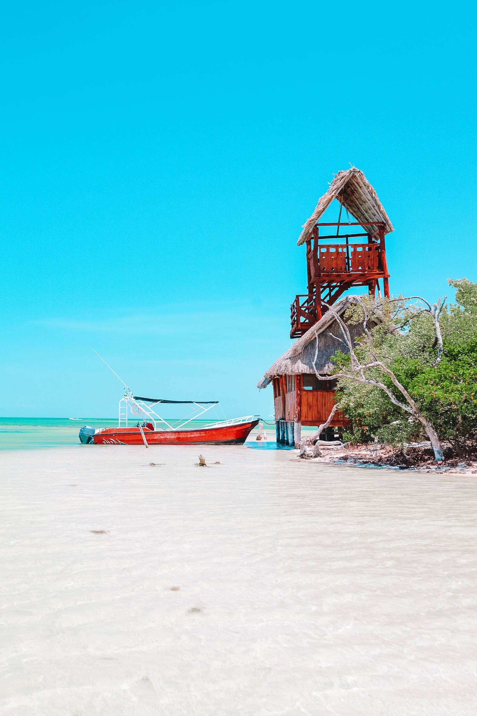 visit isla holbox
