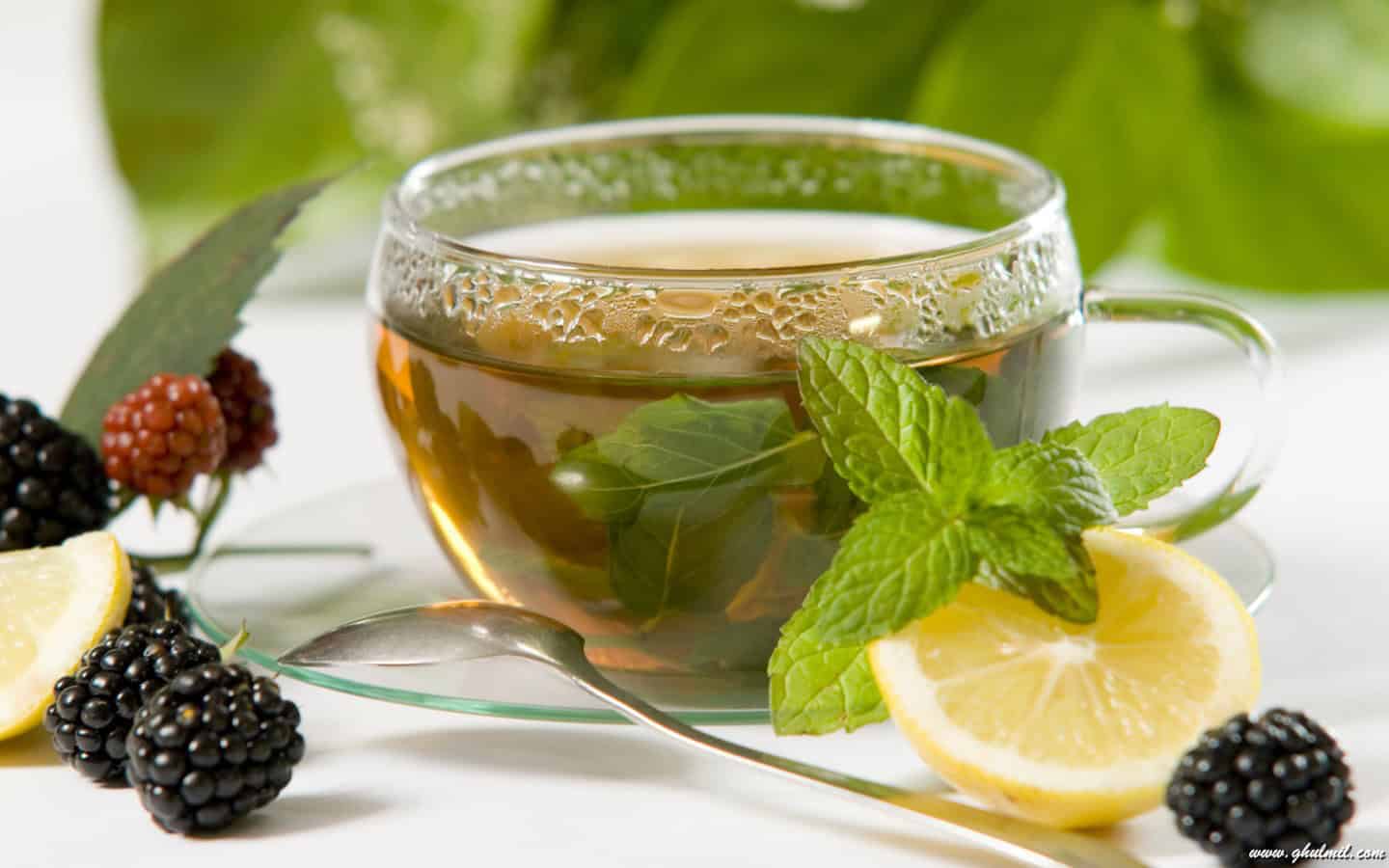 true8211does green tea