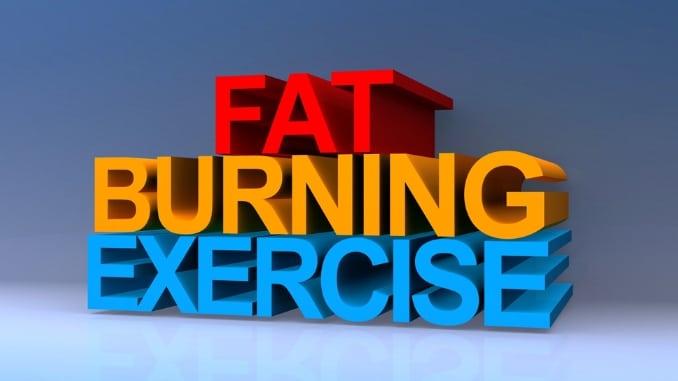 knock out fat fast