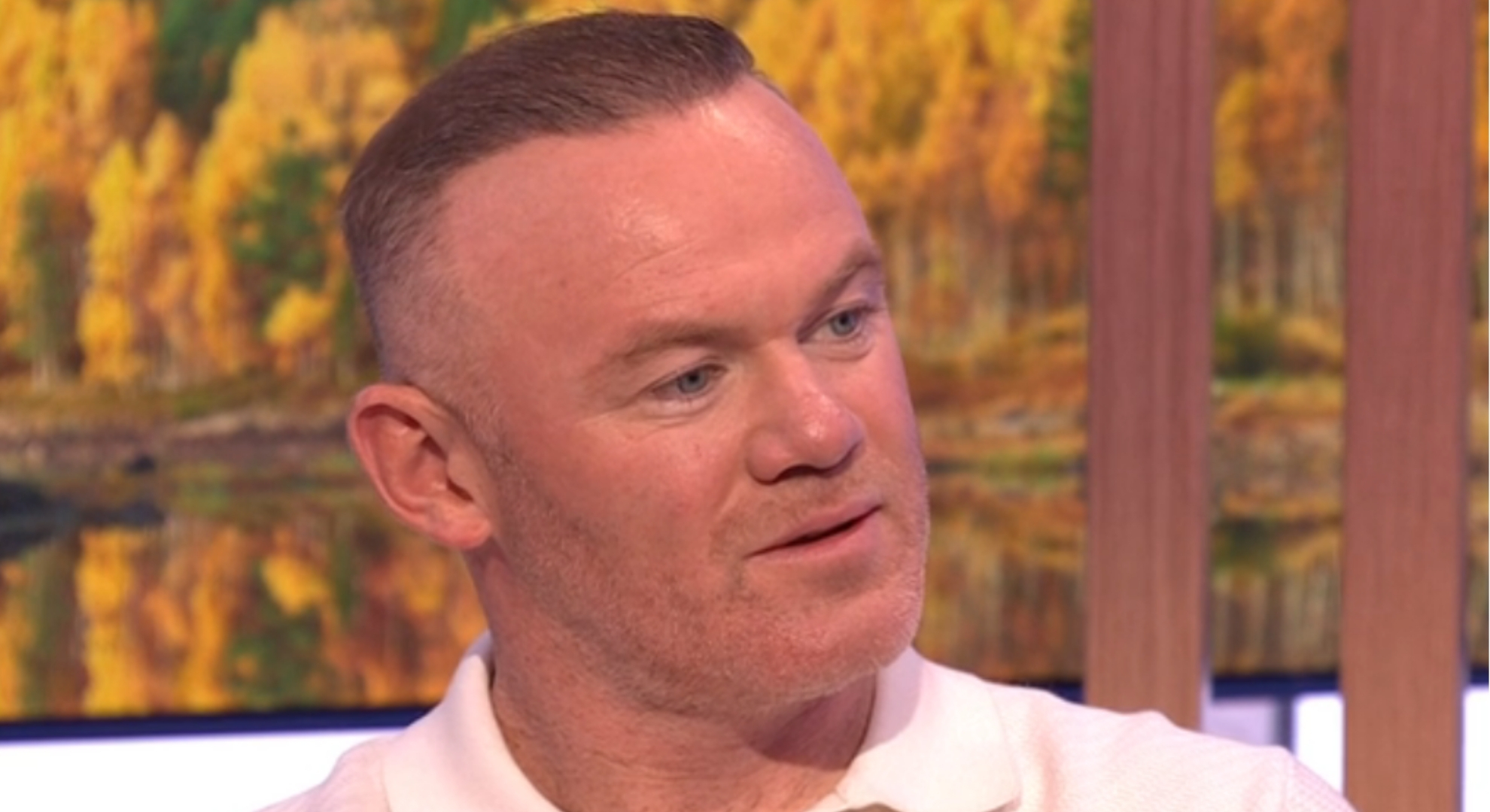 wayne rooney breaks
