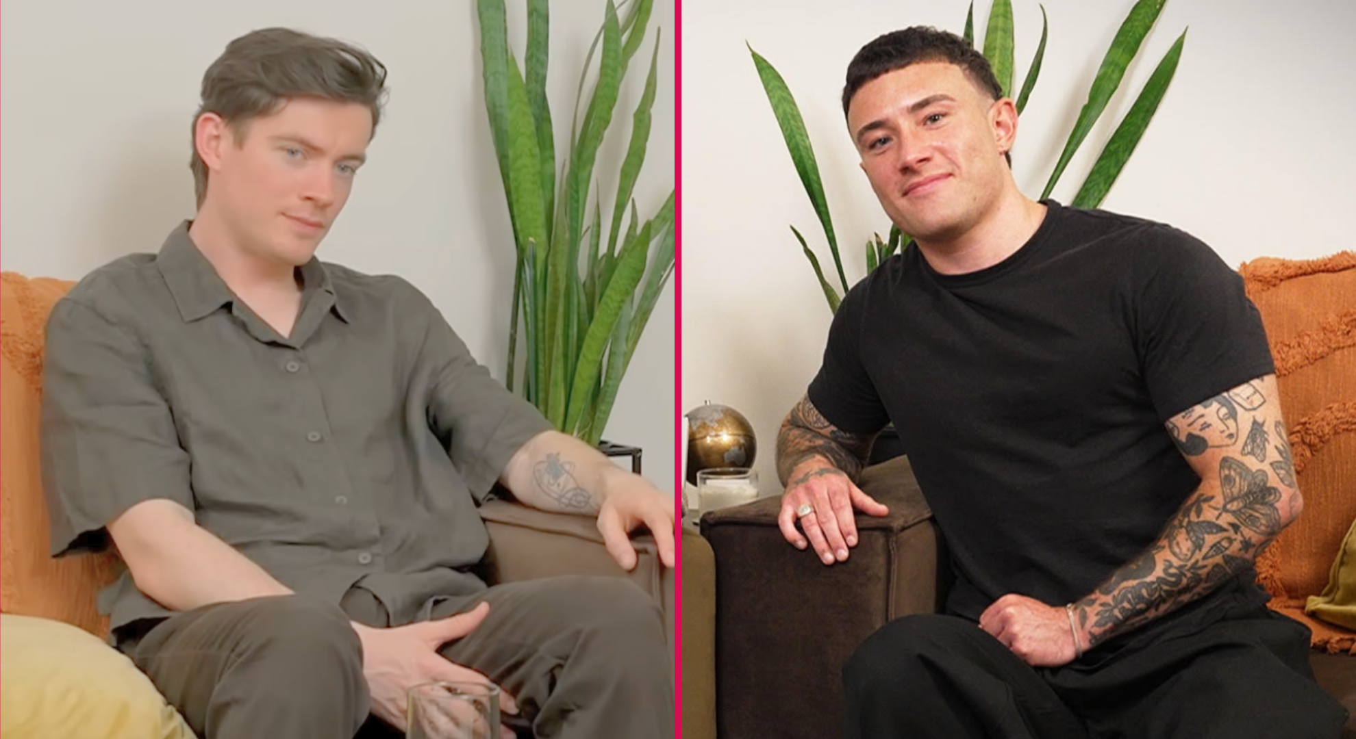 gogglebox announces new