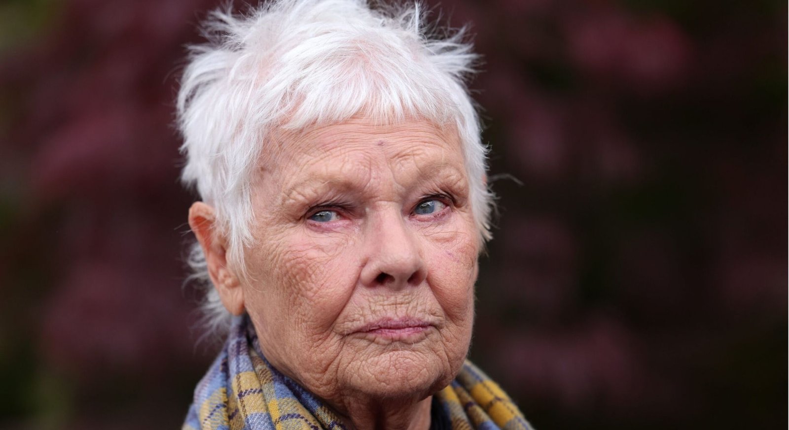 judi dench shares