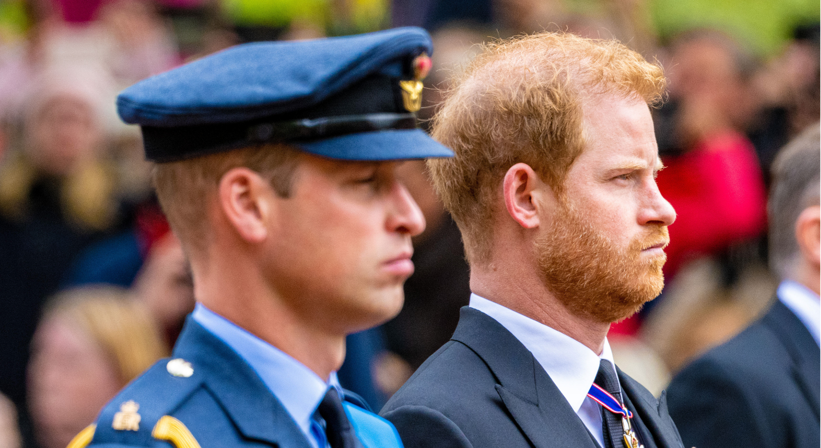 prince william would