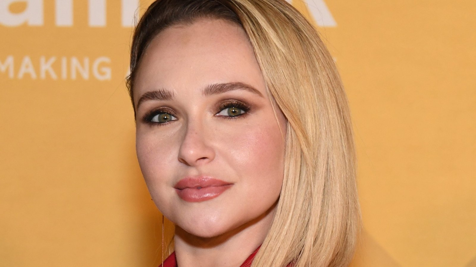 hayden panettiere exposed
