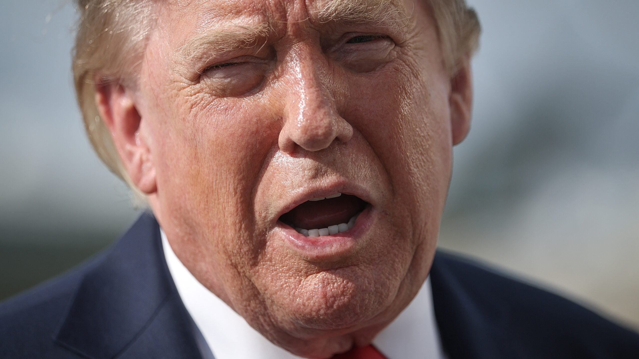 donald trump alien