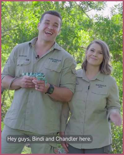 bindi irwin chandler