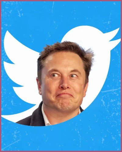 elon musk confirmed