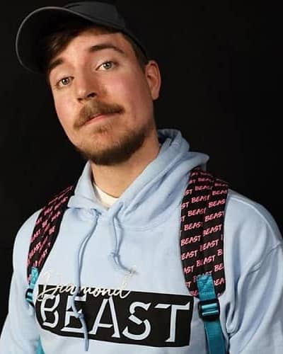 mrbeast net worth