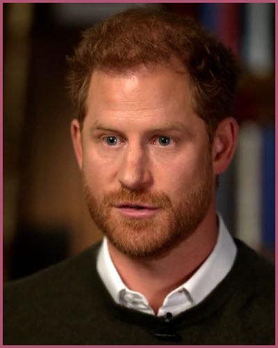 prince harry said