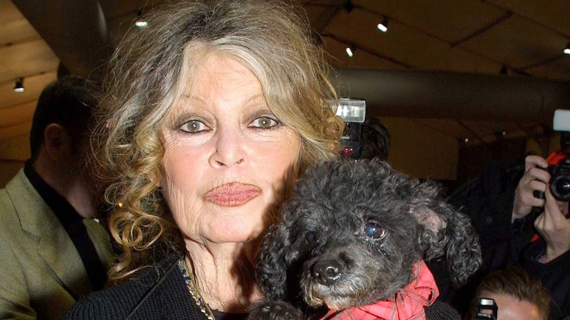 brigitte bardot ses