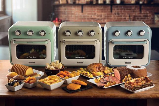 llgant air fryer